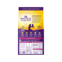 Wellness Complete Health Grain Free Indoor Deboned Salmon & Herring Meal Recipe Dry Cat Food