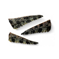 Scott & Dan's Crocodile Tail Tips Dog Treats