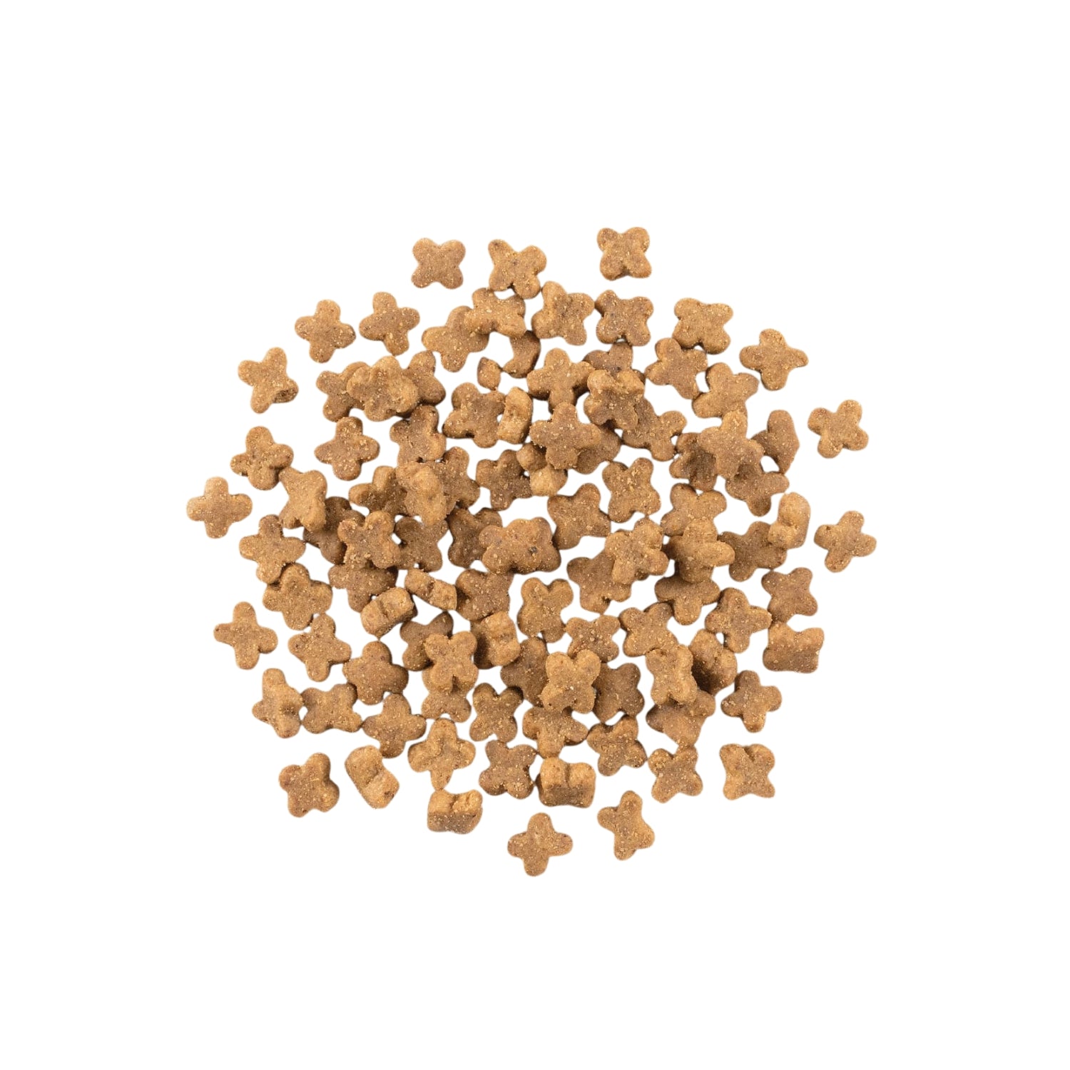 Now Fresh Turkey, Salmon & Duck Grain-Free for Small Breed Dog Dry Food