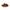 Willow & Woof Butcher's Cut Air-Dried Venison Shaft Bone Dog Treats