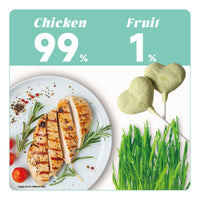 Gnawlers Lallipop Freeze-Dried Chicken & Catnip Cat Treats