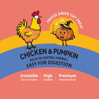 Gnawlers Lallipop Freeze-Dried Chicken & Pumpkin Cat Treats