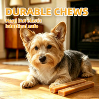 Howbone Honey Puppy Stick Dog Treats