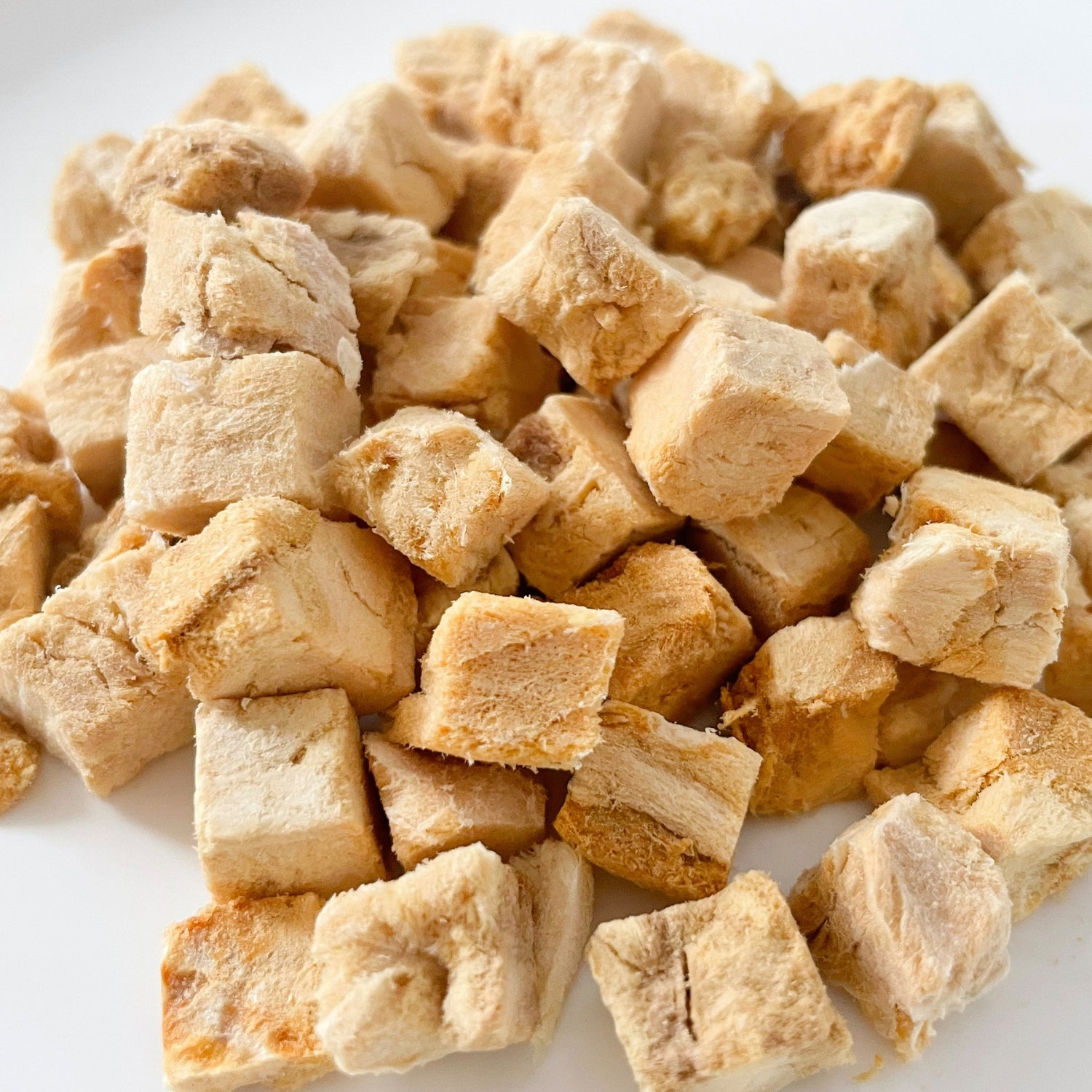 Jollycat Freeze Dried Bites Salivating Salmon Cat Treats