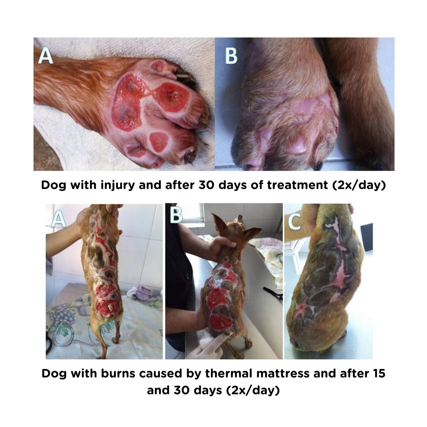 Hydra Soft Care PSK Repair System