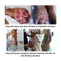 Hydra Soft Care PSK Repair System