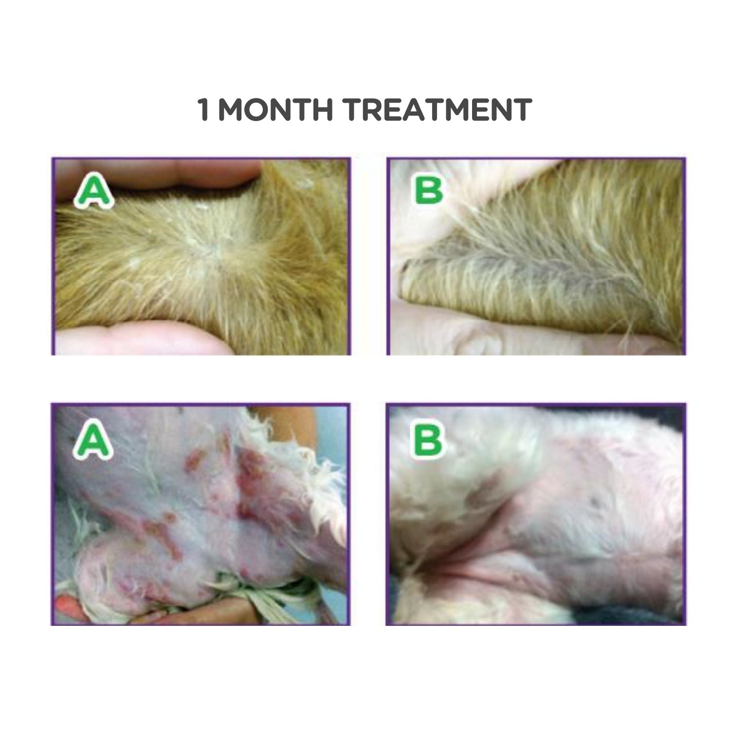 Hydra Soft Care Hypcare Shampoo