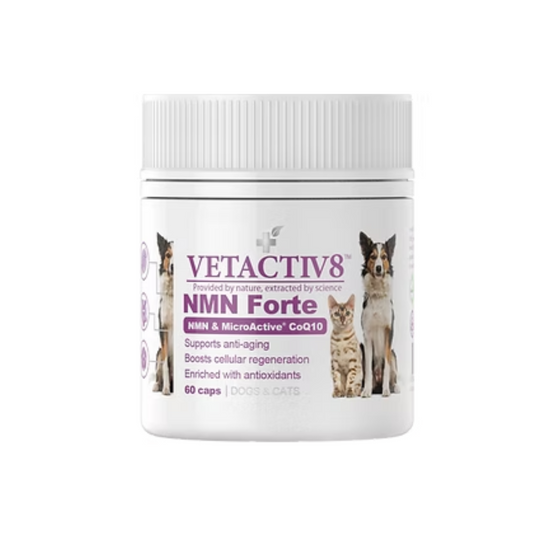 Vetactiv8 NMN & Microactive Forte
