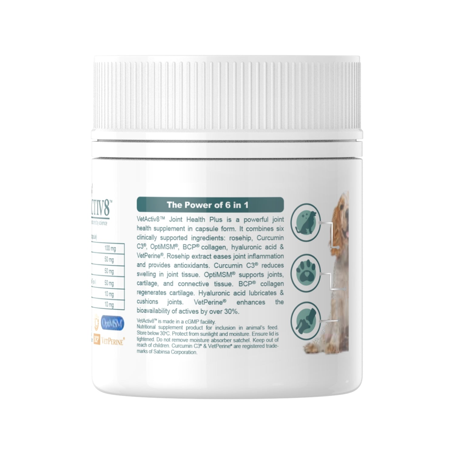 Vetactiv8 Joint Health Plus Capsule Supplement for Cats & Dogs