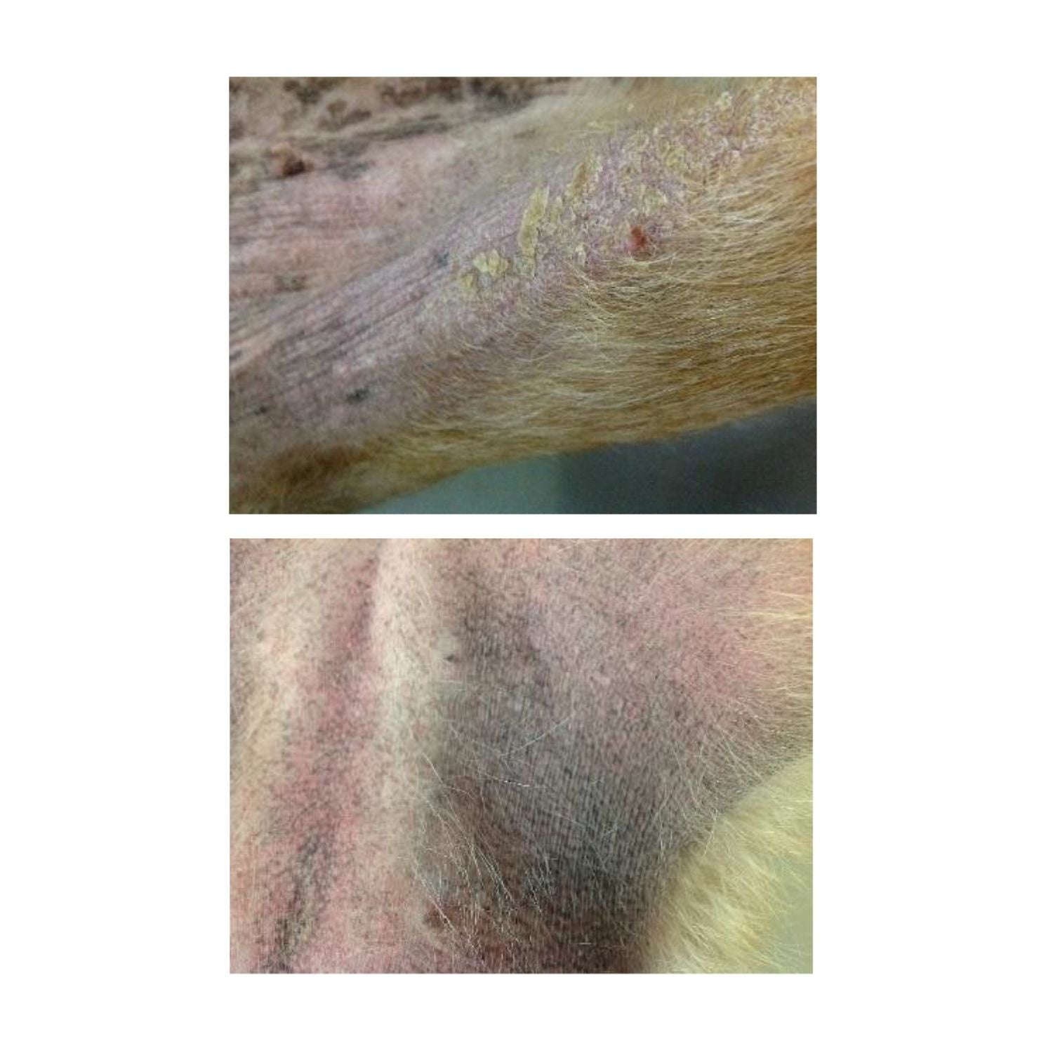 Hydra Soft Care Hydra-T Moisturising Spray