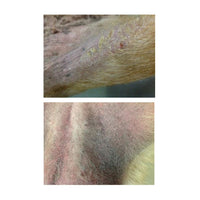 Hydra Soft Care Hydra-T Moisturising Spray