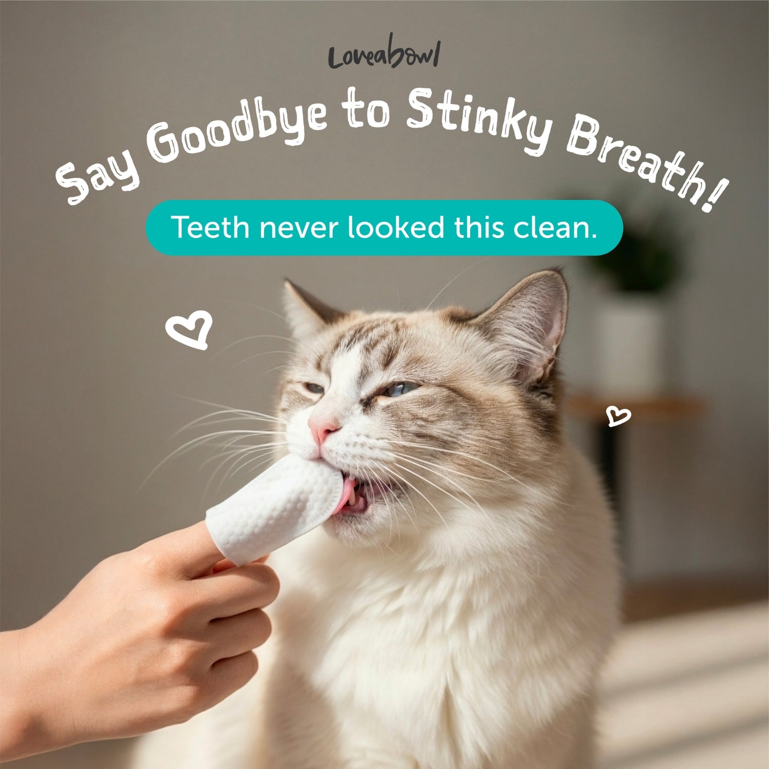 Loveabowl Clean-A-Tooth Dental Finger Wipes for Cats
