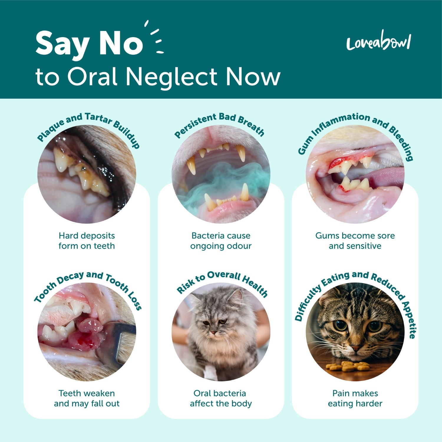 Loveabowl Clean-A-Tooth Dental Finger Wipes for Cats