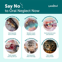 Loveabowl Clean-A-Tooth Dental Finger Wipes for Cats