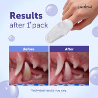 Loveabowl Clean-A-Tooth Dental Finger Wipes for Dogs