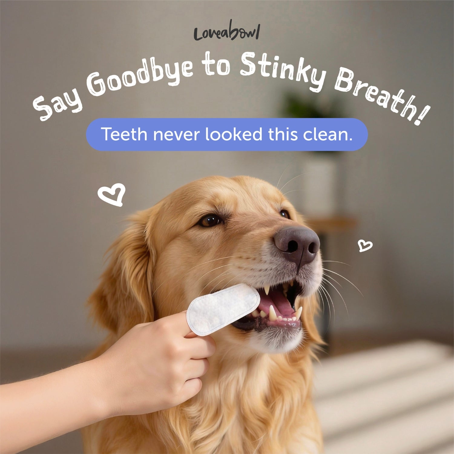 Loveabowl Clean-A-Tooth Dental Finger Wipes for Dogs