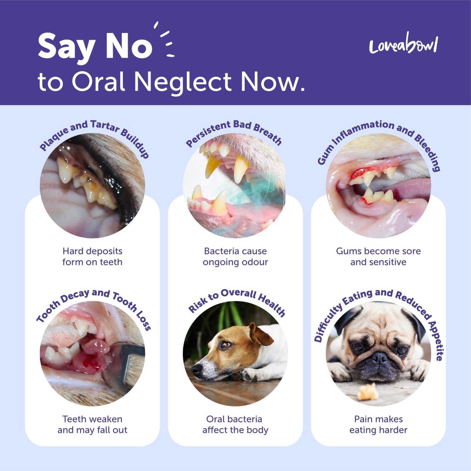 Loveabowl Clean-A-Tooth Dental Finger Wipes for Dogs
