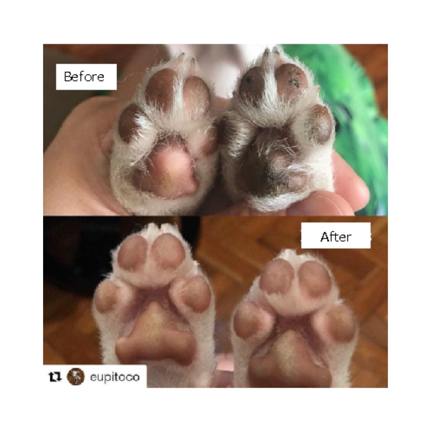 Hydra Soft Care Pet Glove