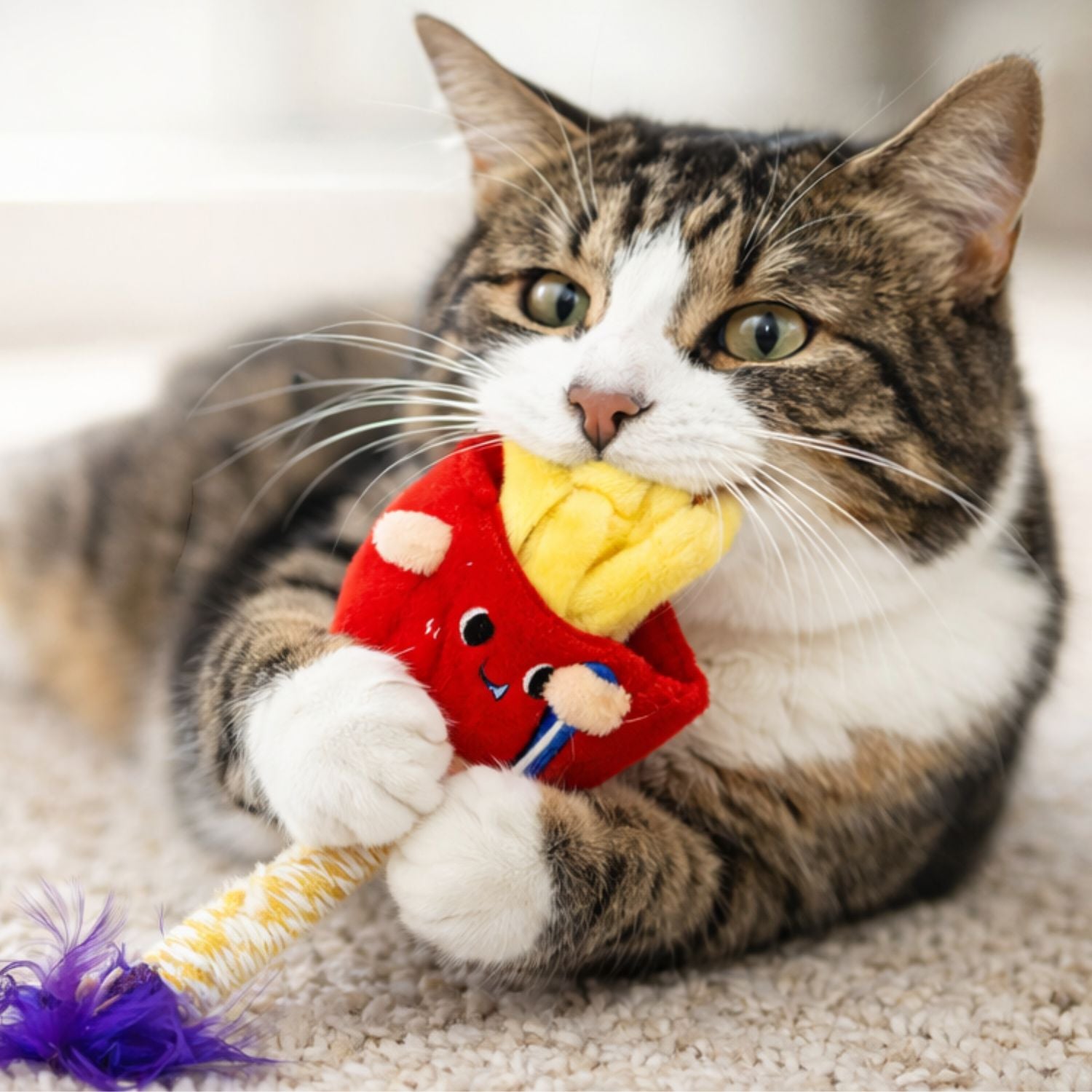 Kara Silvervine French Fries Cat Toy