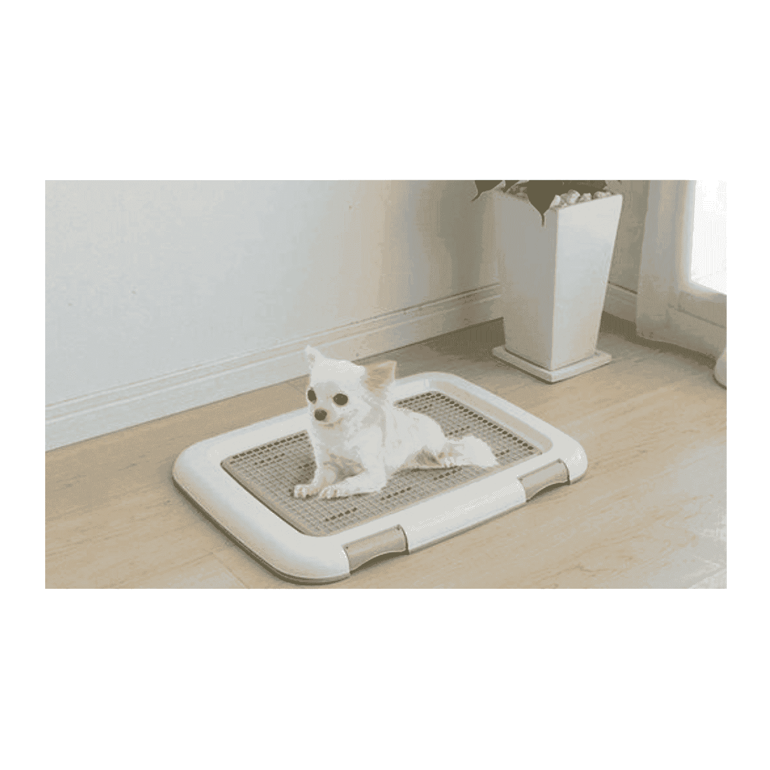 Dog Toilet Training FTT-635