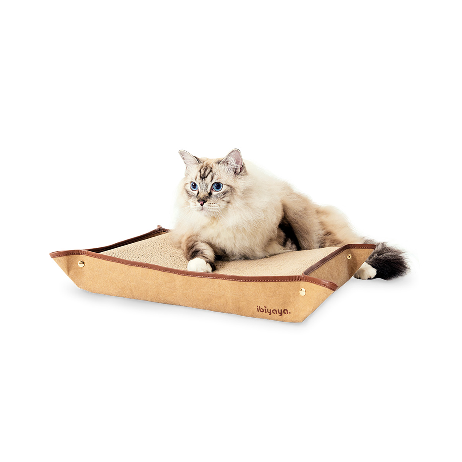 Ibiyaya Plateau Cat Scratch Board