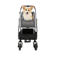 Ibiyaya Neo-Rider Detachable Stroller