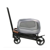 Ibiyaya Neo-Rider Detachable Stroller