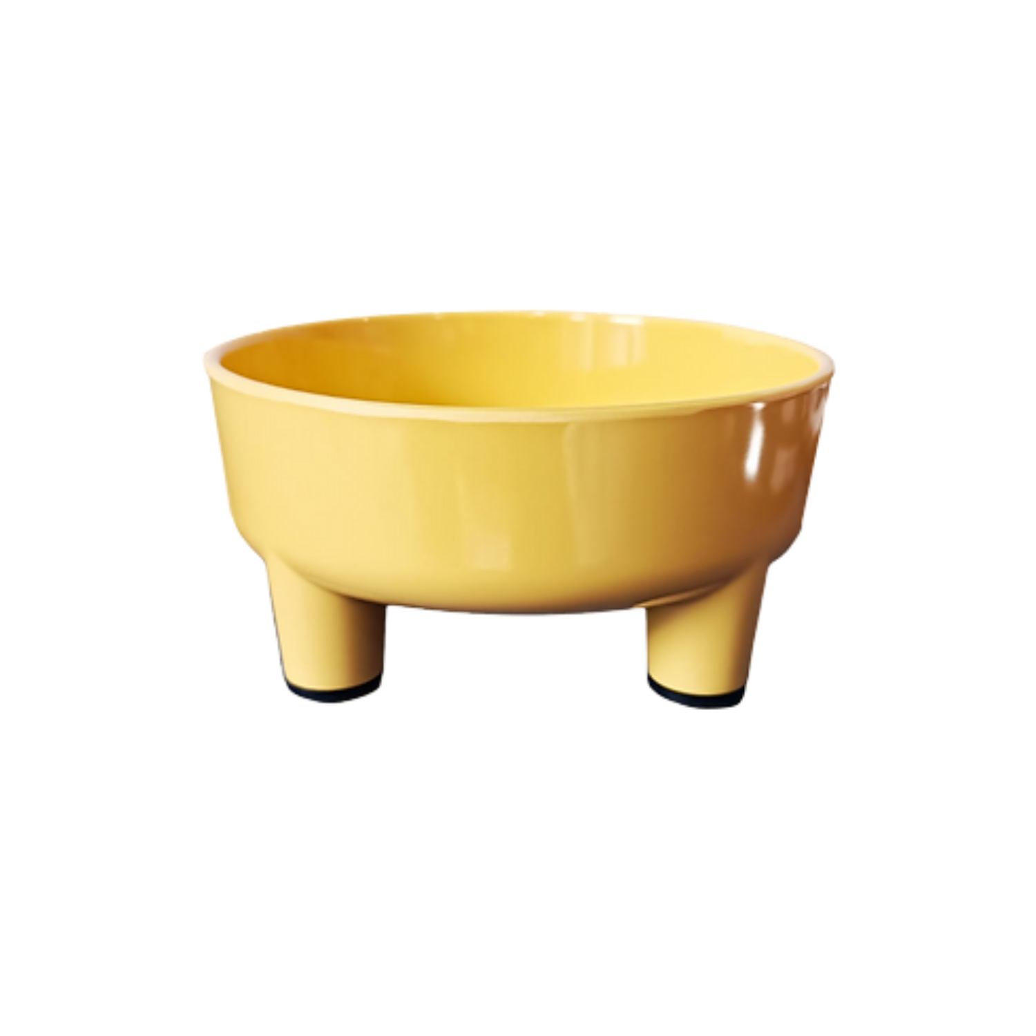 Ps Dz Tilted Elevated Bowl