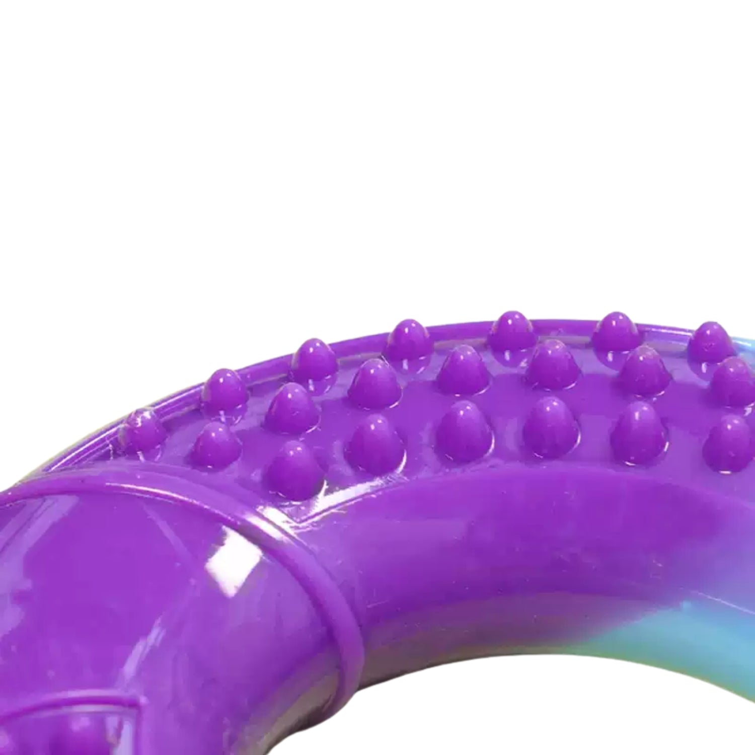Kara Interactive Teething Ring Dental Chew Dog Toy