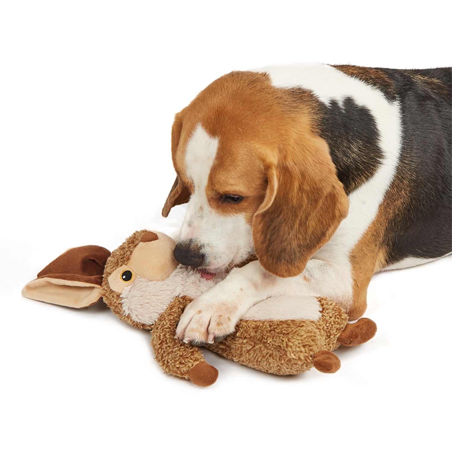 Ps Fofos Rabbit Squeaky Plush Dog Toy