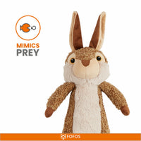 Ps Fofos Rabbit Squeaky Plush Dog Toy