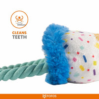 Ps Fofos Birthday Hat Squeaky Plush Dog Toy