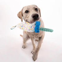 Ps Fofos Birthday Hat Squeaky Plush Dog Toy
