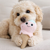 Kara Ice-Cream Plush Dog Toy