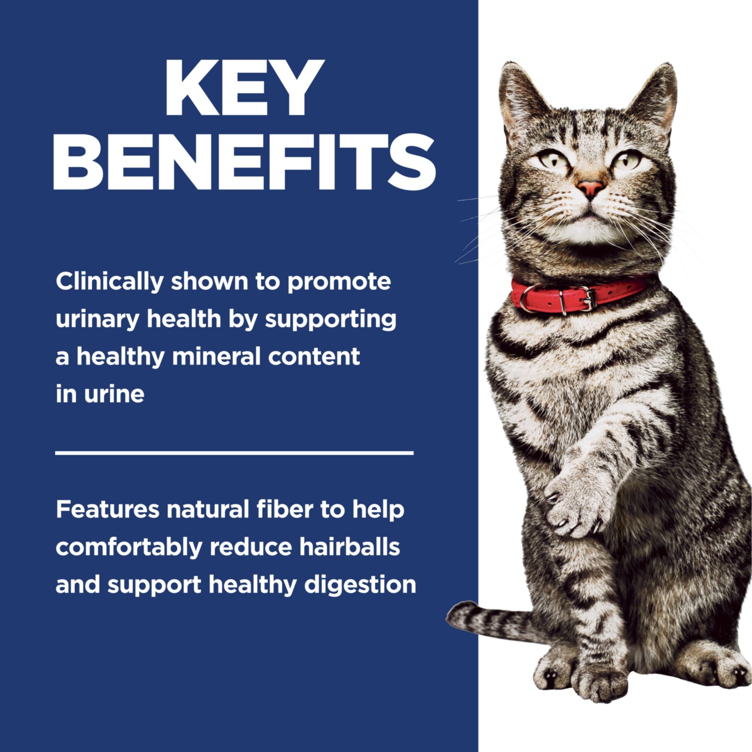 Science Diet Feline Adult Urinary & Hairball Control Chicken & Rice Recipe Dry Cat Food