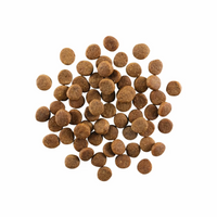 Go! Solution Carnivore Grain Free Chicken Turkey + Duck Recipe Puppy Dry Food