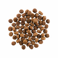 Go! Solution Carnivore Grain Free Chicken Turkey + Duck Recipe Senior Dog Dry Food