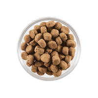 Go! Solution Carnivore Grain Free Salmon + Cod Recipe Dog Food