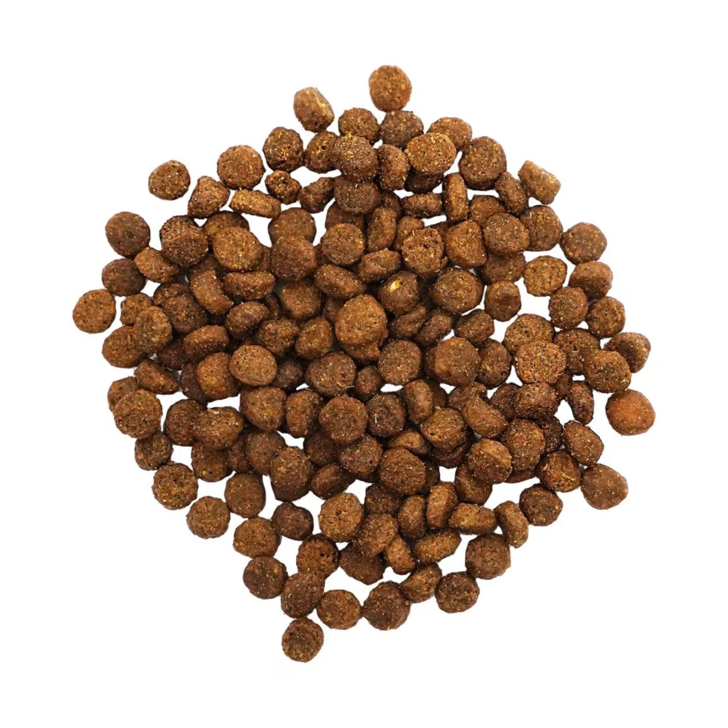 Go! Solution Digestion + Gut Health Salmon Recipe with Ancient Grains Cat Dry Food