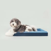 Ibiyaya Deep Sleep Orthopedic  Dog Bed