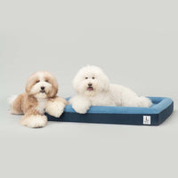 Ibiyaya Deep Sleep Orthopedic  Dog Bed