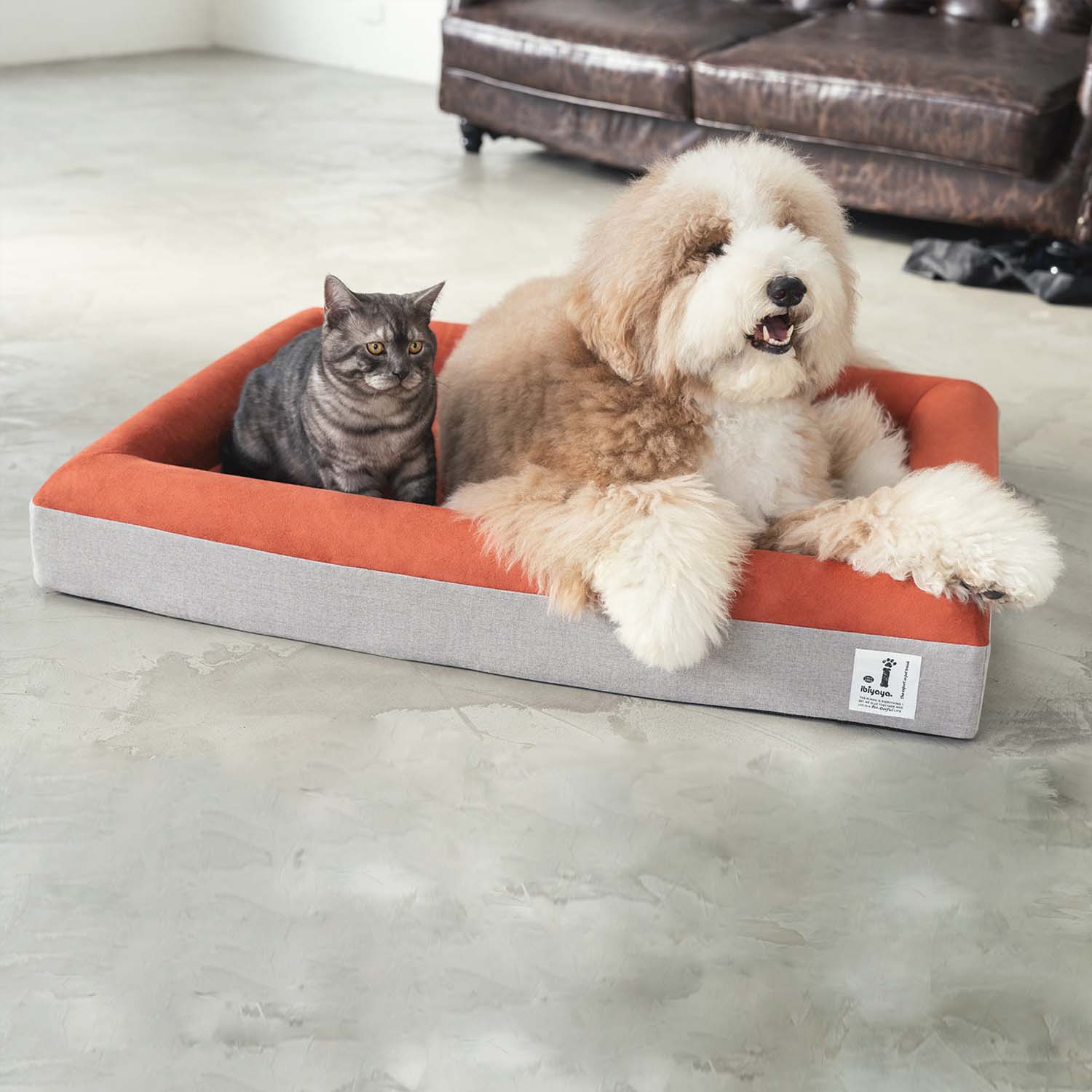 Ibiyaya Deep Sleep Orthopedic  Dog Bed