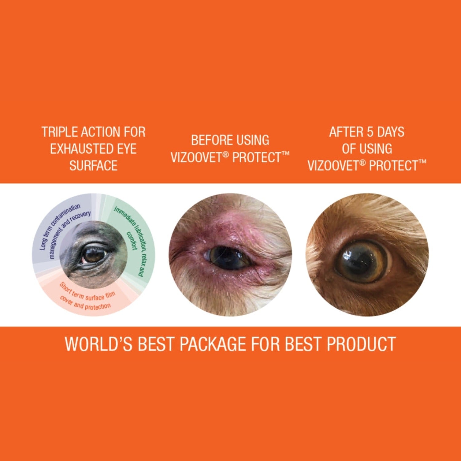 Vizoovet protect sterile eye drops