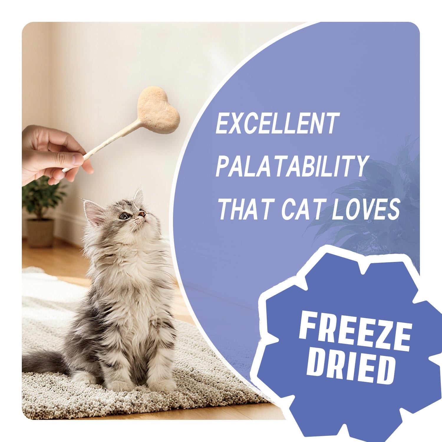 Gnawlers Lallipop Freeze-Dried Chicken & Catnip Cat Treats