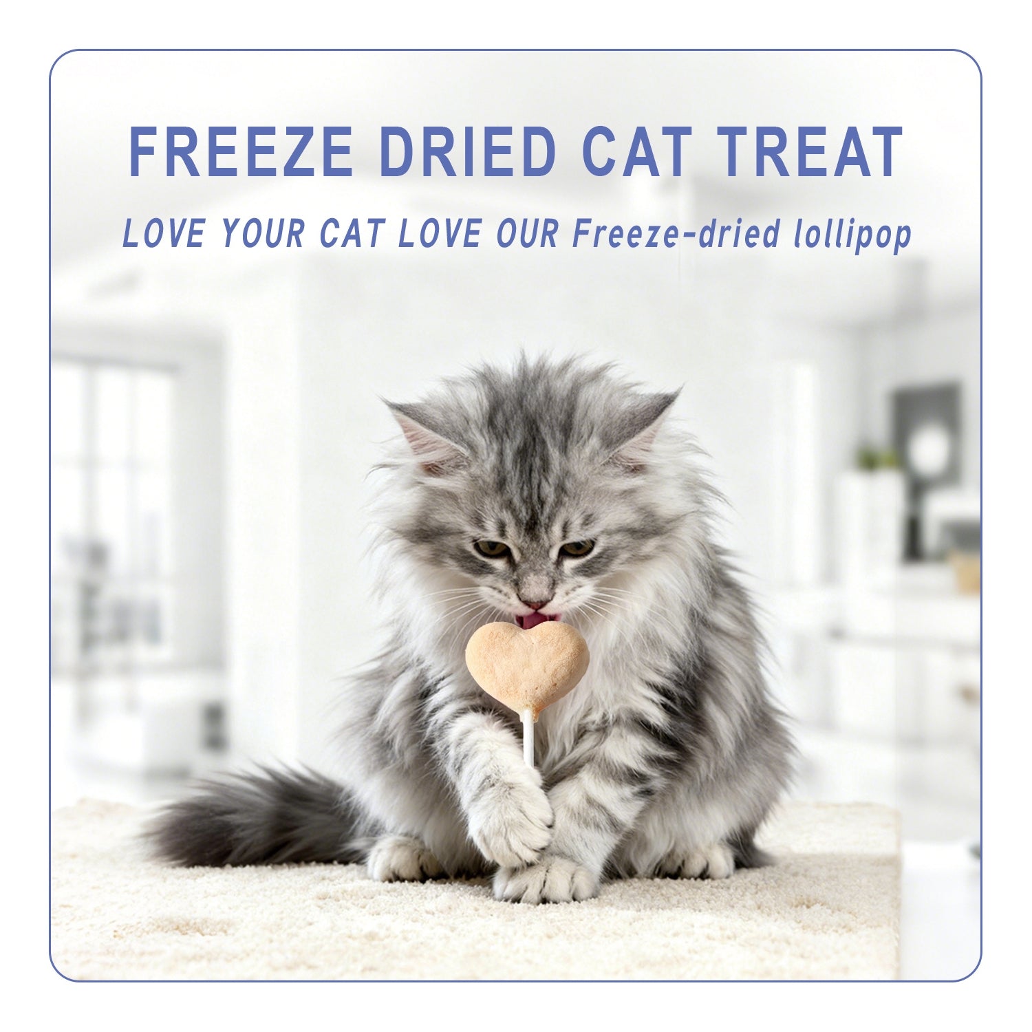 Gnawlers Lallipop Freeze-Dried Chicken & Catnip Cat Treats