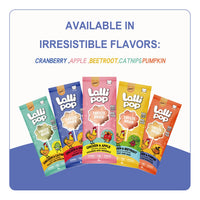 Gnawlers Lallipop Freeze-Dried Chicken & Catnip Cat Treats
