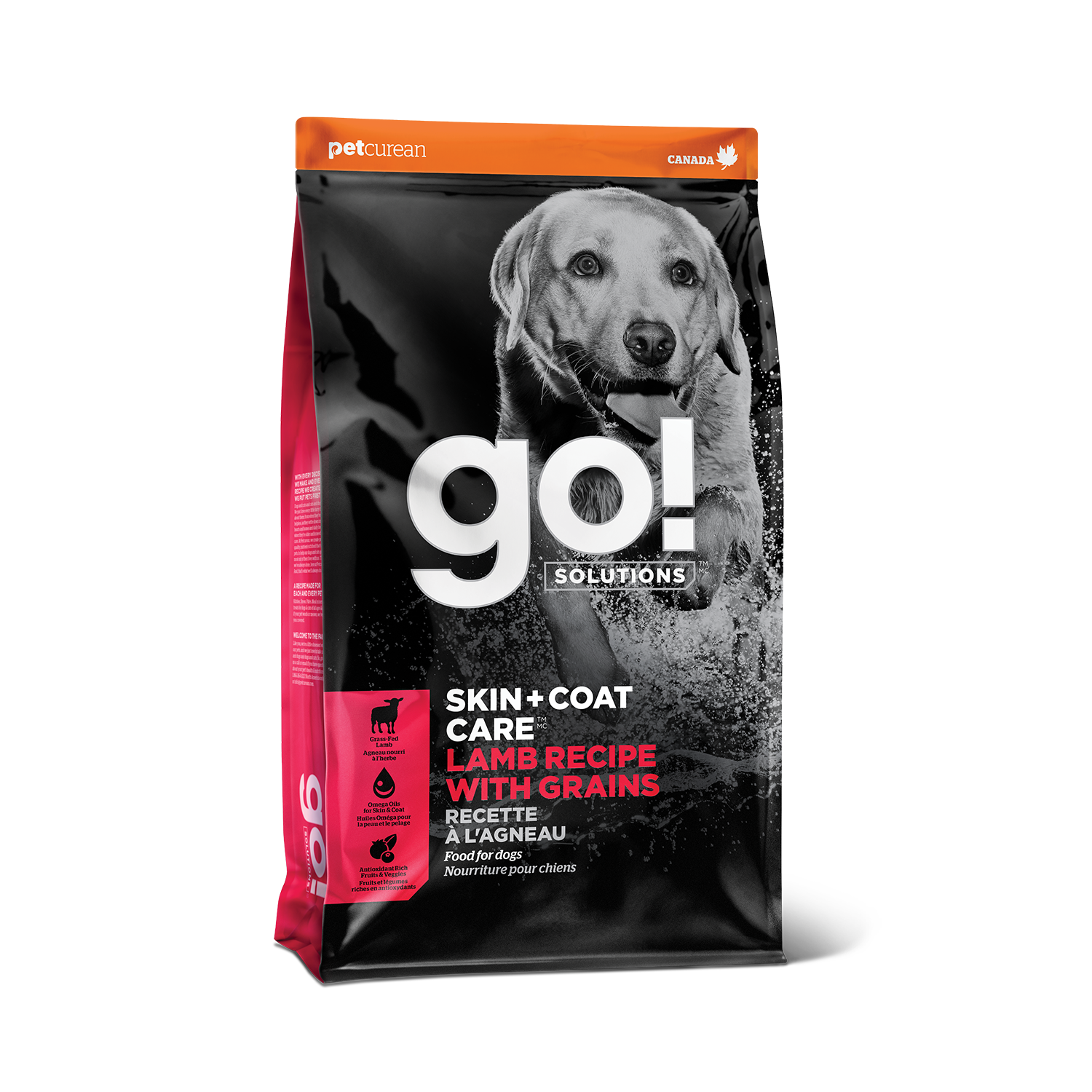 GO! Solutions Skin + Coat Care Lamb Recipe with Grains, a high-quality dog food made with tender lamb and nutritious grains, designed to promote healthy skin and a glossy coat.