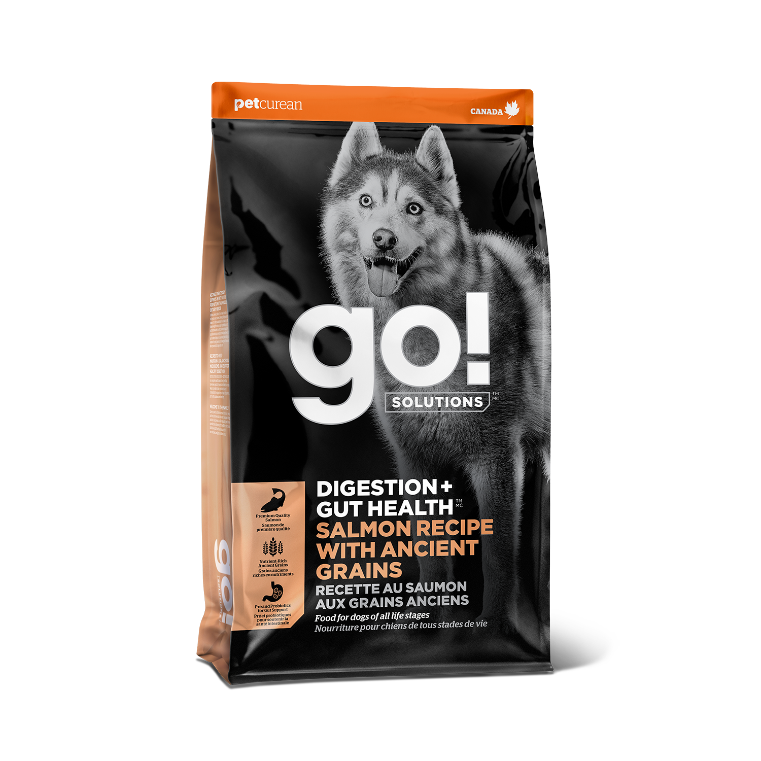 GO! Solutions Digestion + Gut Health Salmon Recipe with Ancient Grains, formulated with premium salmon, ancient grains, and natural fibers to support healthy digestion and overall gut health for dogs