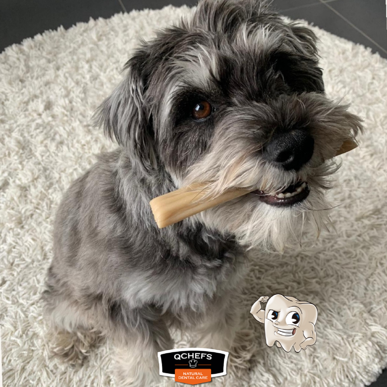 Qchefs Hard Cheese Dog Dental Chews