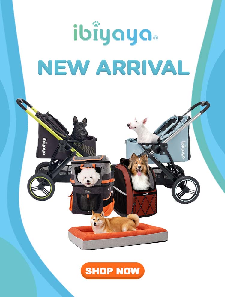 Online Pet Shop Singapore Pets' Station